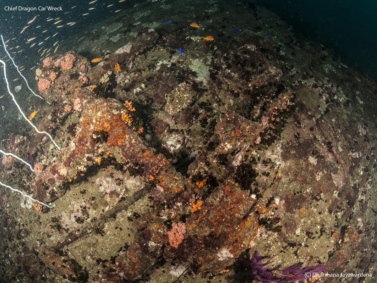 Remains of vehicles